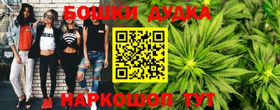 индика Ачхой-Мартан