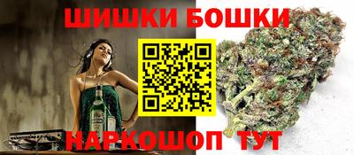индика Ачхой-Мартан