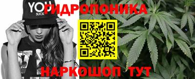 ГАЛЛЮЦИНОГЕННЫЕ ГРИБЫ Аша