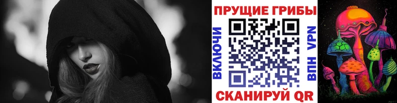 купить наркотик  kraken рабочий сайт  Псилоцибиновые грибы Psilocybe  Балашиха 