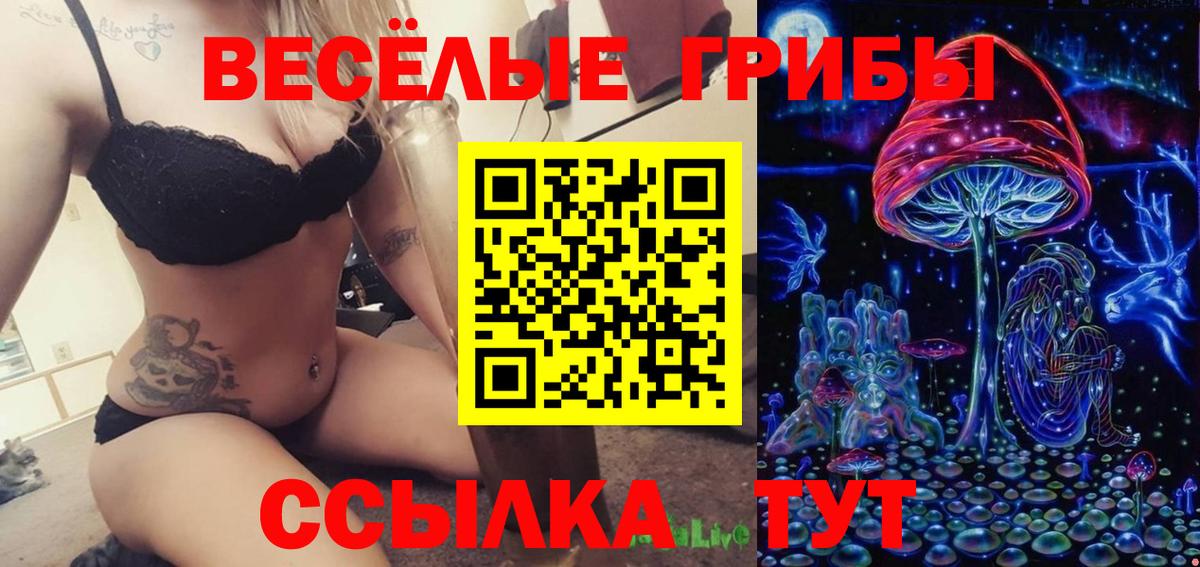 Псилоцибиновые грибы Psilocybine cubensis Балашиха