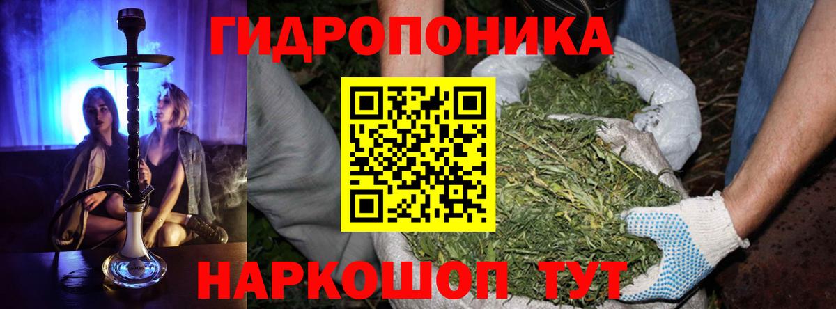 Шишки марихуана сатива  Канабис планчик  Балашиха  Вход с VPN  Канабис сатива 